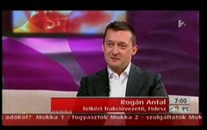 Rogn: A bankok is vegyk ki a rszket a tehermegosztsbl + vide